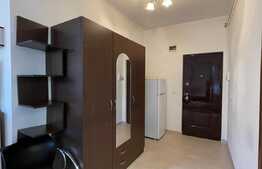 Apartament cu 1 camera, 30 mp, zona Centrala