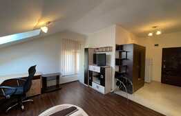 Apartament cu 1 camera, 30 mp, zona Centrala