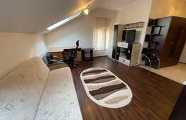 Apartament cu 1 camera, 30 mp, zona Centrala