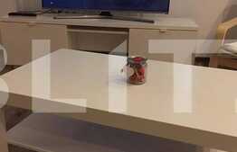 SUPER PRET! Apartament cu 1 camera, utilat si mobilat modern in bloc nou, 40 mp , zona Romul Ladea