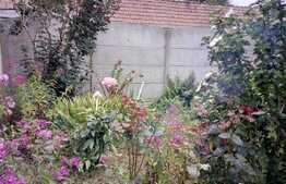 Casa deosebita cu teren generos, 219 mp utili, in Zarnesti