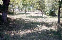 Casa deosebita cu teren generos, 219 mp utili, in Zarnesti