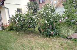 Casa deosebita cu teren generos, 219 mp utili, in Zarnesti