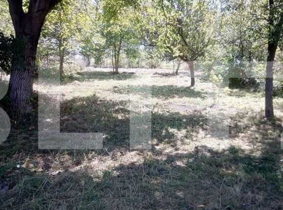 Casa de vânzare 4 camere Exterior Vest - 67687CV | BLITZ Brașov | Poza6