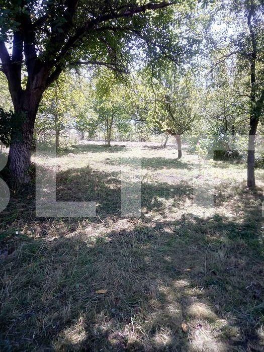 Casa de vânzare 4 camere Exterior Vest - 67687CV | BLITZ Brașov | Poza6