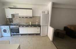 Apartament de 2 camere, 47 mp, zona Muzeul Apei