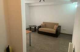 Apartament de 2 camere, 47 mp, zona Muzeul Apei