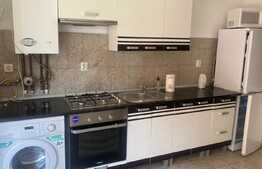 Apartament de 2 camere, 47 mp, zona Muzeul Apei