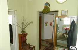 Apartament spatios de vanzare cu 3 camere, in zona magazinului Profi