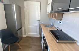 Apartament superb cu o camera, prima inchiriere, parcare, zona Terra!