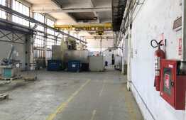 Hala industriala 500 mp, ideala pentru productie sau depozitare!