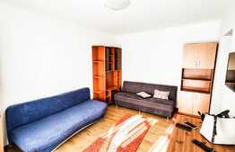 Garsoniera luminoasa, 24 mp utili, balcon, mobilata, zona Nora