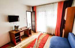 Garsoniera luminoasa, 24 mp utili, balcon, mobilata, zona Nora