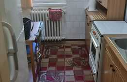 Apartament 2 camere, 45 mp, zona strazii Snagov