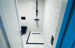 Apartament 1 camera, finisat, mobilat, mezanin, parcare, zona Avram Iancu