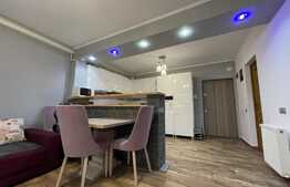 Apartament de 2 camere, lux, terasa, parcare, pet-friendly, complex Luminia Residence