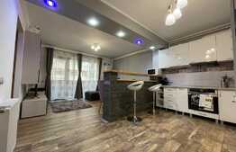 Apartament de 2 camere, lux, terasa, parcare, pet-friendly, complex Luminia Residence