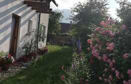 Casa cu potential 210 mp utili, teren de 250 mp, in Zarnesti!