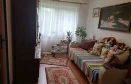 Casa cu potential 210 mp utili, teren de 250 mp, in Zarnesti!