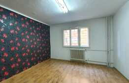 Garsoniera spatioasa, 27 mp la parter, zona Calea Baciului