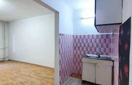 Garsoniera spatioasa, 27 mp la parter, zona Calea Baciului