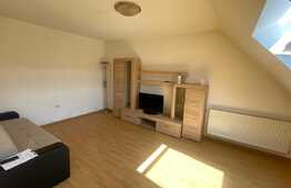 Apartament 1 camera, decomandat, zona Porii,Floresti