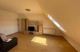 Apartament 1 camera, decomandat, zona Porii,Floresti