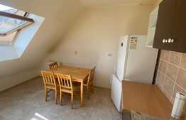 Apartament 1 camera, decomandat, zona Porii,Floresti