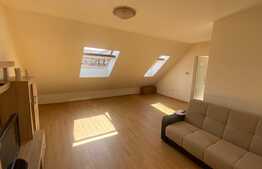 Apartament 1 camera, decomandat, zona Porii,Floresti