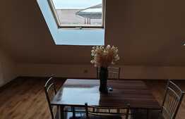 Apartament 1 camera, 36mp, zona Porii, Floresti