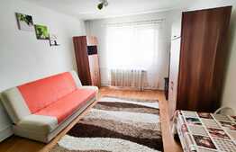 Garsoniera mobilata si utilata, 21mp etaj intermediar, zona Bld. Muncii