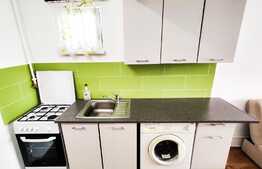 Garsoniera mobilata si utilata, 21mp etaj intermediar, zona Bld. Muncii