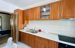 Apartament cu 2 camere, decoamndat, 60 mp, garaj, AC, zona strazii Constantin Brancusi