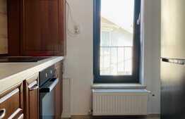 Apartament cu 2 camere, decoamndat, 60 mp, garaj, AC, zona strazii Constantin Brancusi