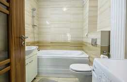 Apartament cu 2 camere, decoamndat, 60 mp, garaj, AC, zona strazii Constantin Brancusi