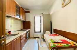 Apartament cu 2 camere, decoamndat, 60 mp, garaj, AC, zona strazii Constantin Brancusi