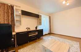 Apartament cu 2 camere, decoamndat, 60 mp, garaj, AC, zona strazii Constantin Brancusi