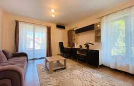 Apartament cu 2 camere, decoamndat, 60 mp, garaj, AC, zona strazii Constantin Brancusi