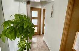 Apartament 3 camere, etaj intermediar, zona strazii Dunarii!