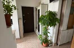 Apartament 3 camere, etaj intermediar, zona strazii Dunarii!