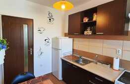 Apartament de 2 camere, decomandat, 40 mp, zona Tractorul 