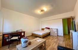 Apartament cu o camere decomandata, 40mp, balcon, Zona strazii Nicolae Titulescu, central