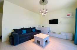 Apartament superb cu 2 camere, 60 mp, garaj, pet friendly, zona Tetarom 1