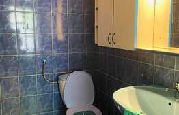 Casa individuala, 140 mp, curte, zona Dorobantilor