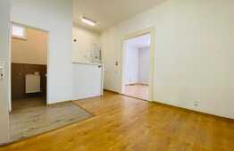 Casa individuala, 140 mp, curte, zona Dorobantilor