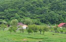 Ocazia Perfecta! Teren de vanzare Suceagu teren 500mp cu autorizatie de constructie