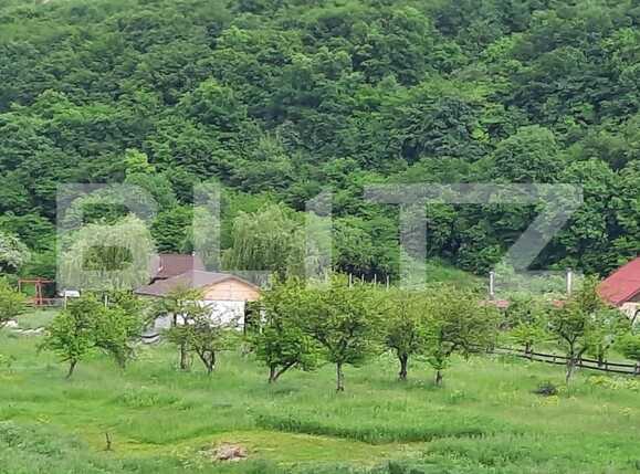 Teren de vânzare Suceagu - 67861TV | BLITZ Cluj-Napoca | Poza2