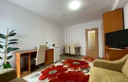 Apartament de 1 camera, prima inchirere, 24mp, parcare, zona Iulius Mall