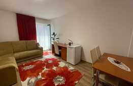 Apartament de 1 camera, prima inchirere, 24mp, parcare, zona Iulius Mall