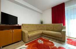 Apartament de 1 camera, prima inchirere, 24mp, parcare, zona Iulius Mall